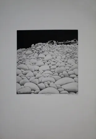 Офорт И Аквитанта Vernunft - Steinblüten