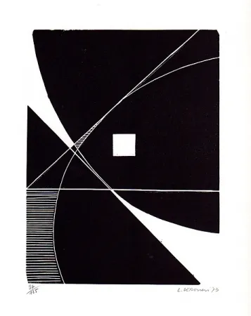 Иллюстрированная Книга Veronesi - Le lucertole blu