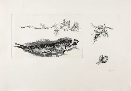 Гравюра Vespignani - Studi