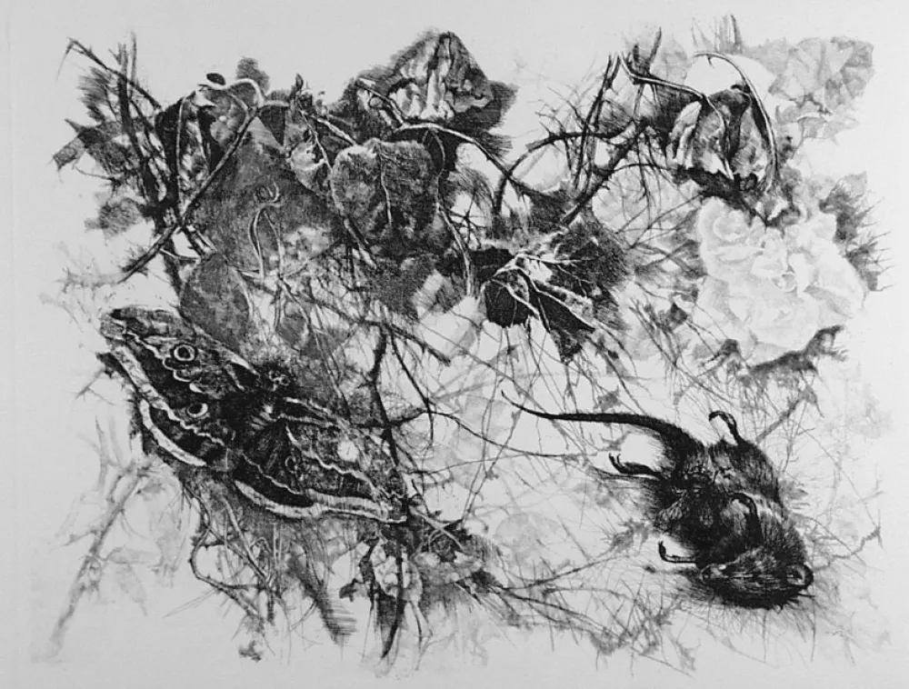 Офорт Vespignani - Zibaldone (Per Leopardi)