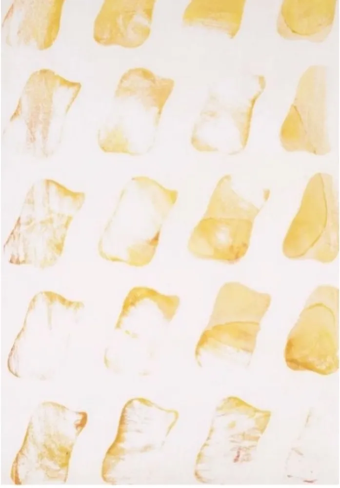 Сериграфия Viallat - Empreinte 