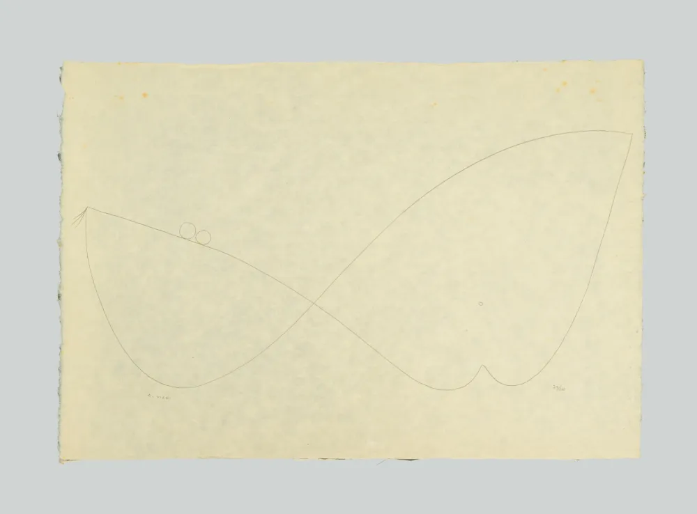 Литография Viani - Composizione