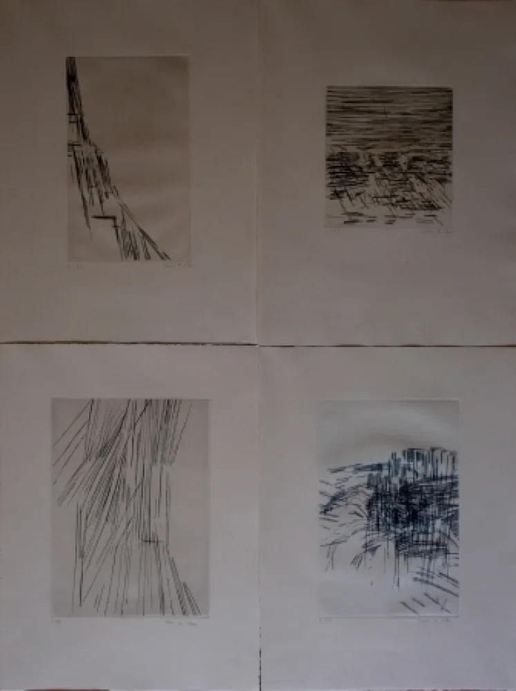 Иллюстрированная Книга Vieira Da Silva - Poésies