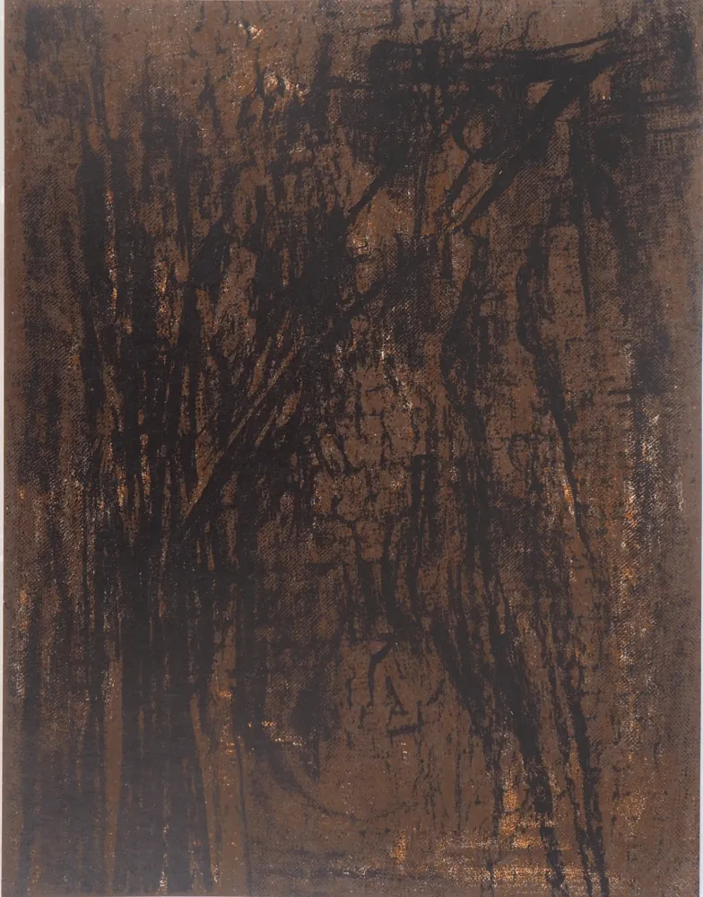 Литография Vieira Da Silva - Terre du Portugal