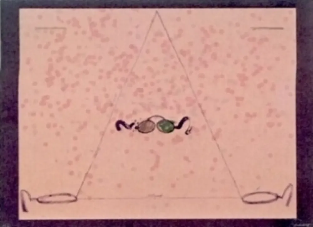 Литография Viladecans - Entrebanc 5