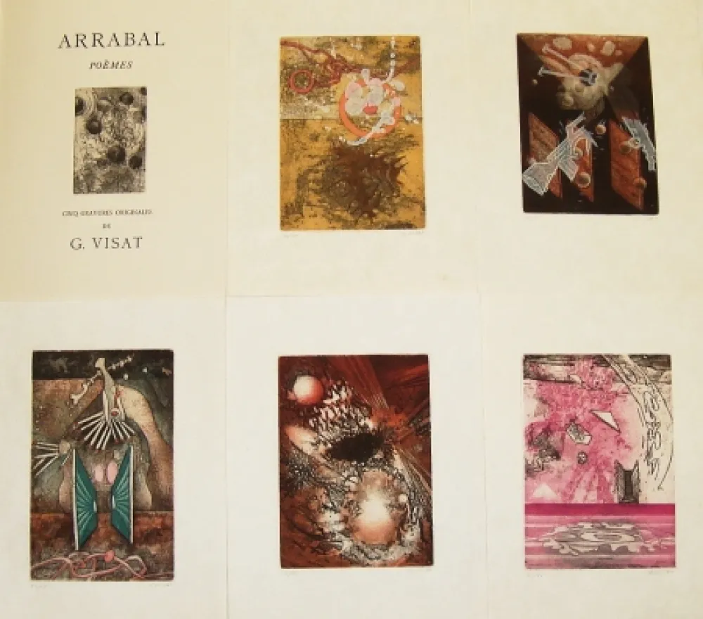 Иллюстрированная Книга Visat - Poèmes