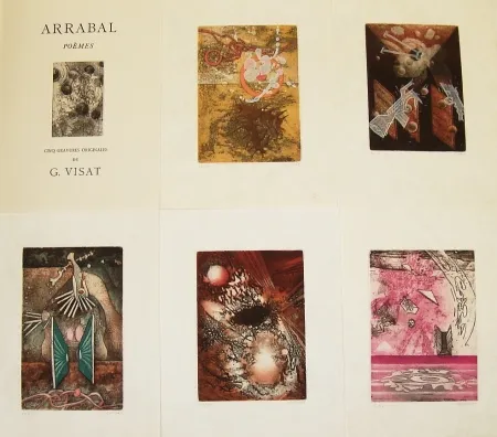 Иллюстрированная Книга Visat - Poèmes