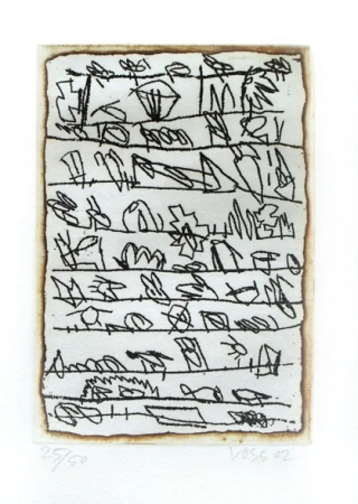 Иллюстрированная Книга Voss - La dispersion