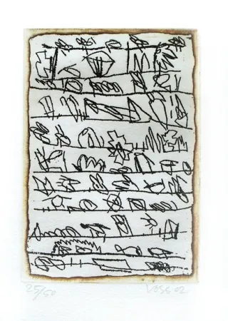 Иллюстрированная Книга Voss - La dispersion