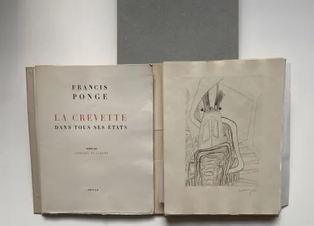 Иллюстрированная Книга Vulliamy - LA CREVETTE DANS TOUS SES ETATS