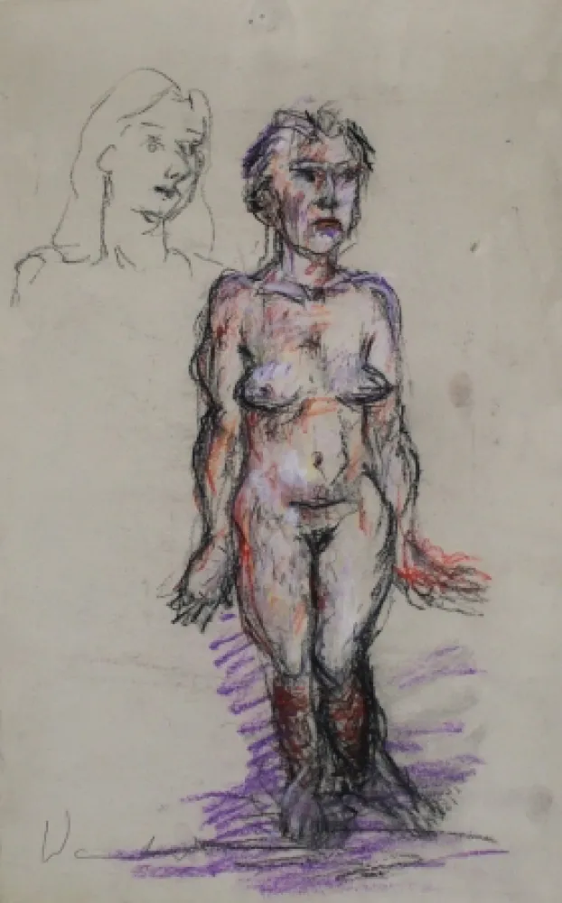 Нет Никаких Технических Wandrer - Standing Nude