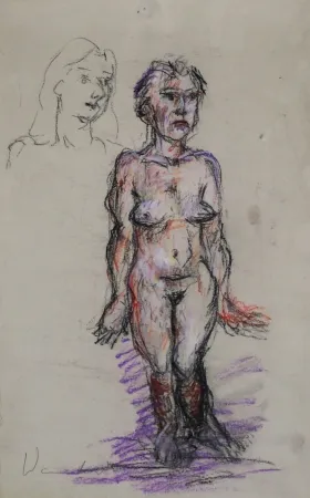 Нет Никаких Технических Wandrer - Standing Nude