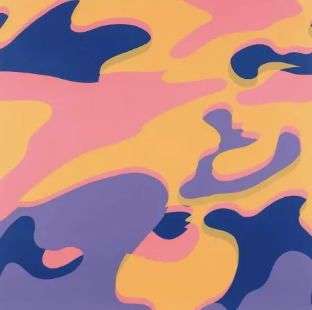 Сериграфия Warhol - Camouflage F. & S. 410