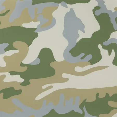 Сериграфия Warhol - Camouflage (FS II.407)