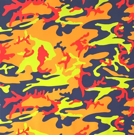 Сериграфия Warhol - Camouflage (FS II.412)