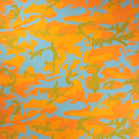 Сериграфия Warhol - Camouflage, II.413