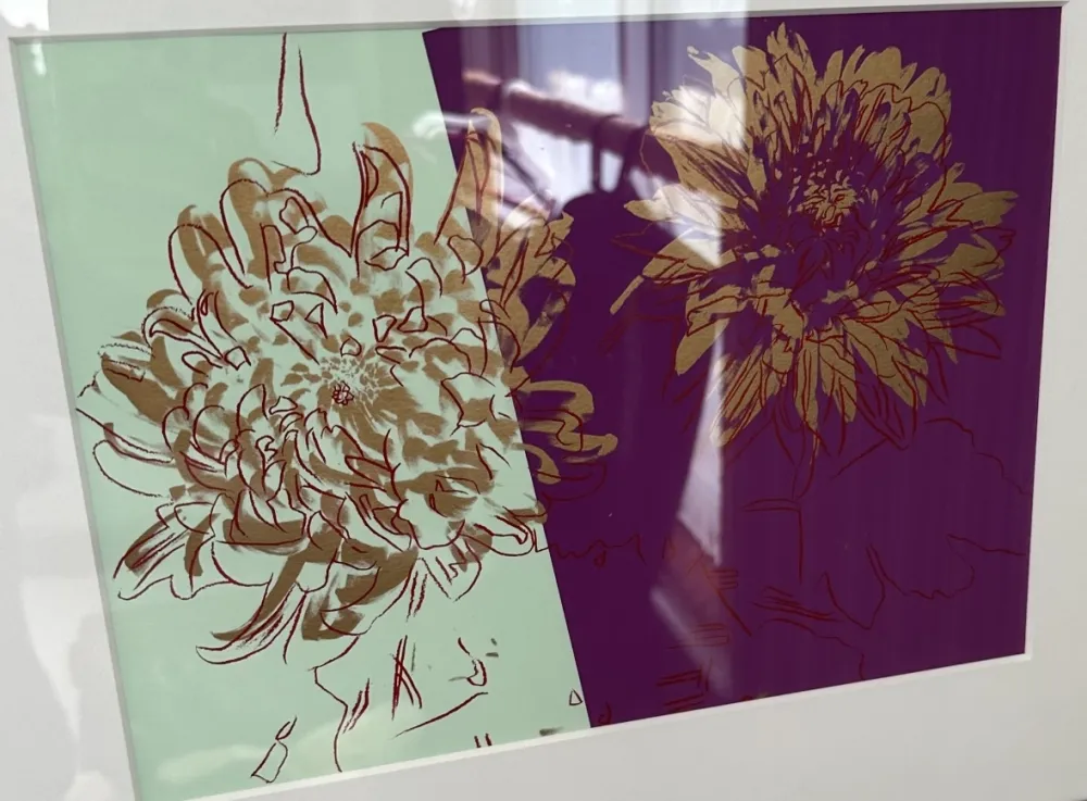 Нет Никаких Технических Warhol - Kiku mini