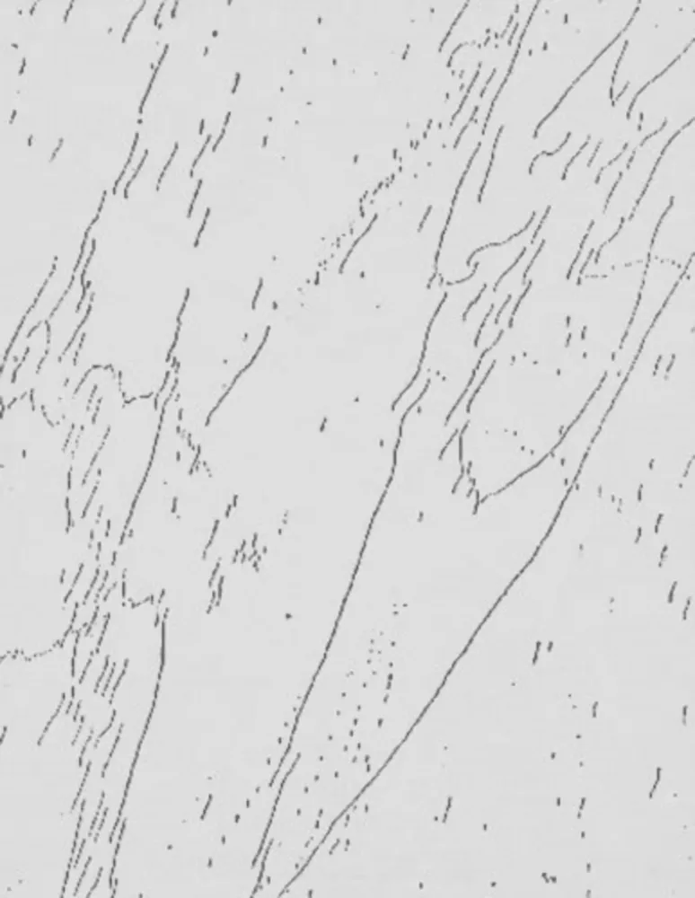 Многоэкземплярное Произведение Warhol - Mao (Unique)