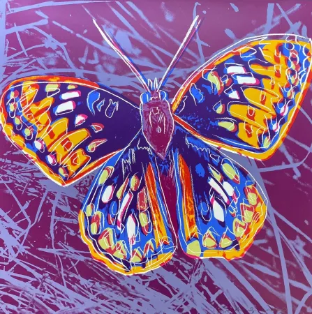 Сериграфия Warhol - San Francisco Silverspot (FS II.298)