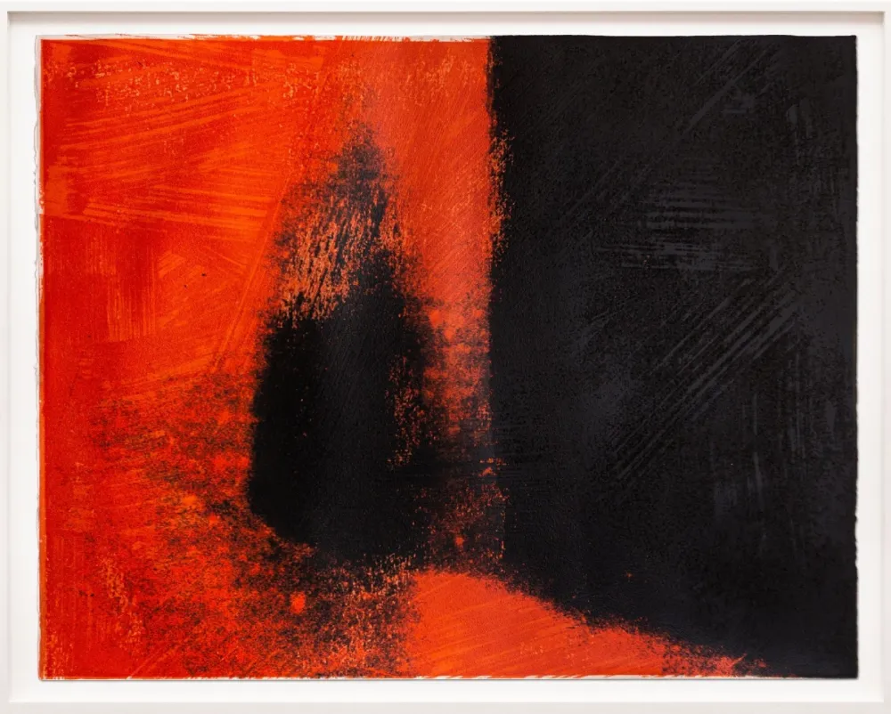 Сериграфия Warhol - Shadows I