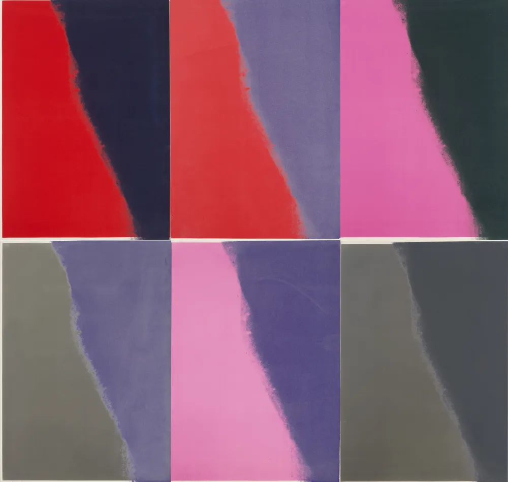 Сериграфия Warhol - Shadows II Complete Portfolio