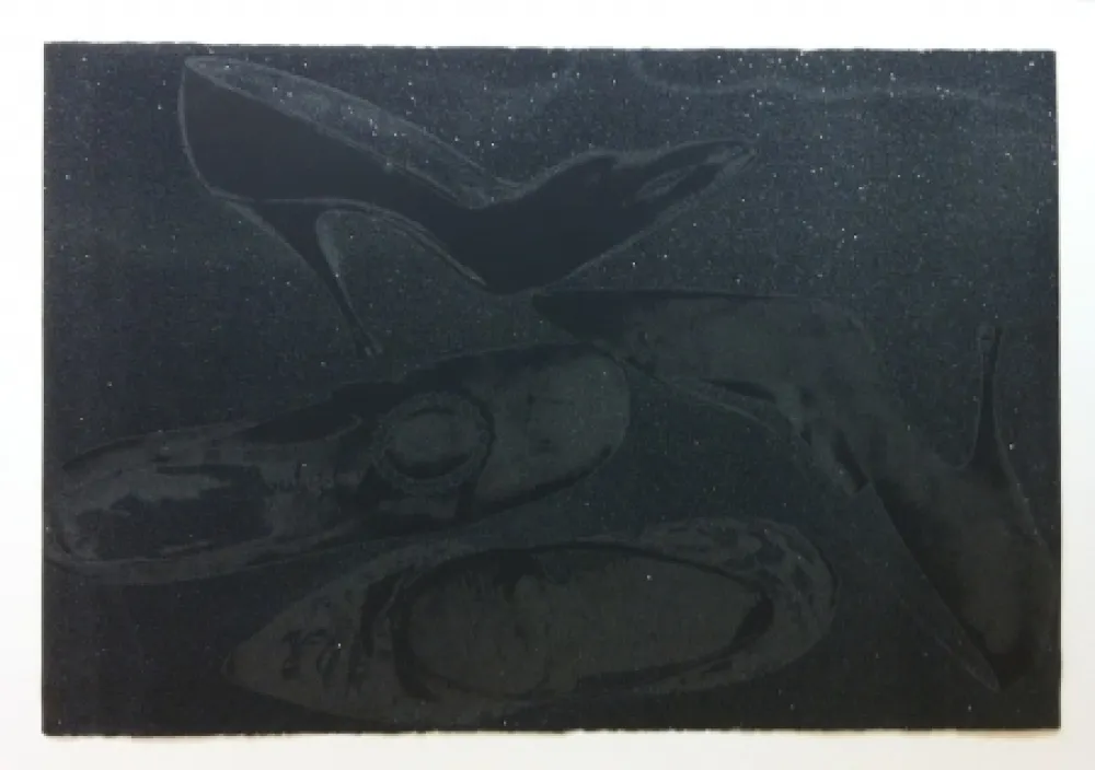 Сериграфия Warhol - Shoes II.248 (Deluxe Edition)