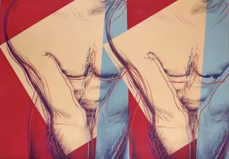 Сериграфия Warhol - Torso (Double)