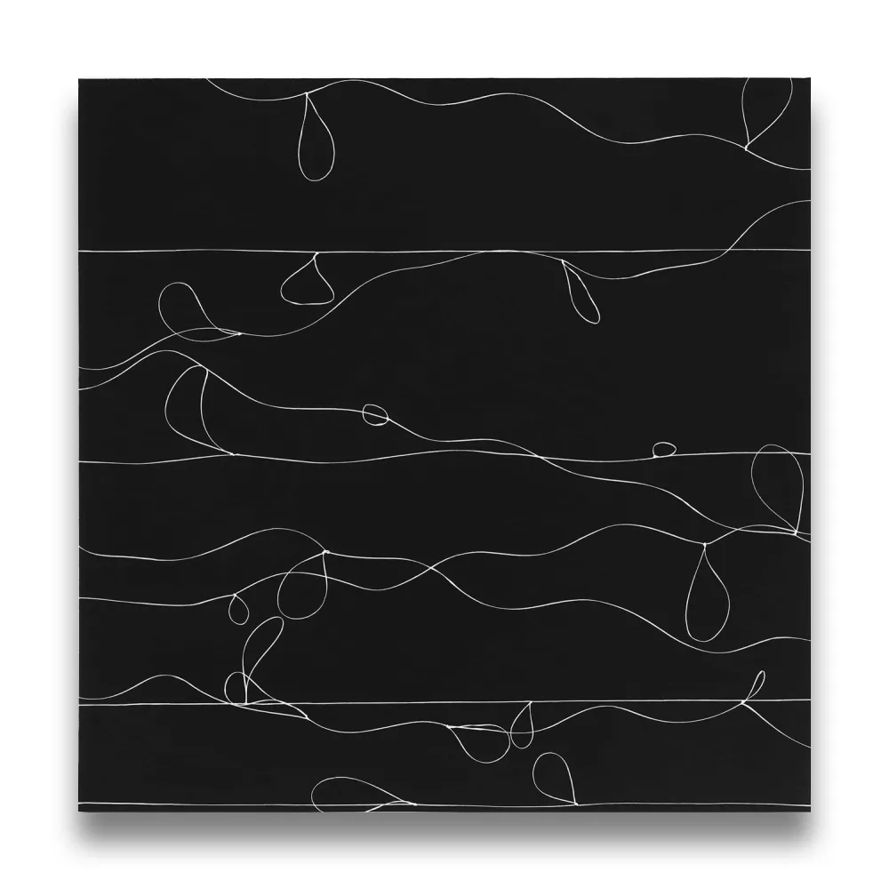 Фотографии Webber - Loops 1