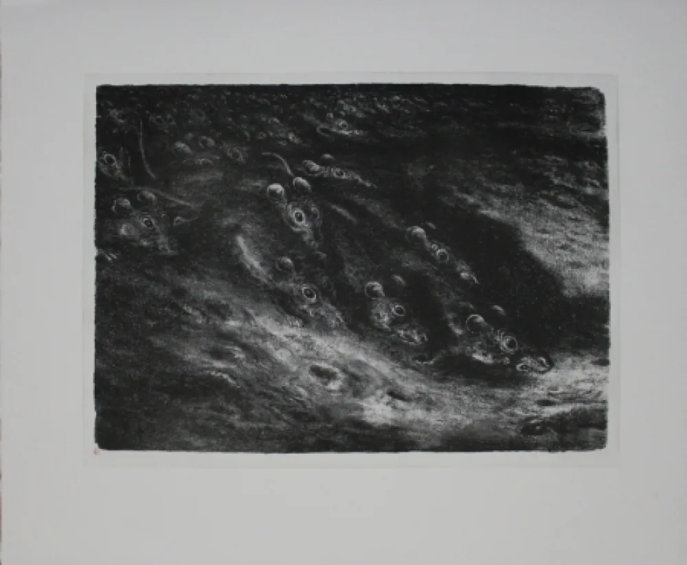 Литография Weber - Rattenzug