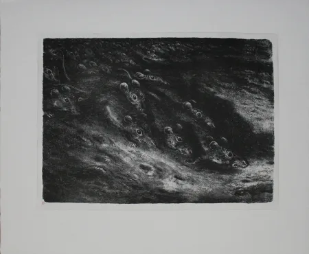 Литография Weber - Rattenzug