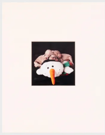 Фотографии Wegman - Three for One