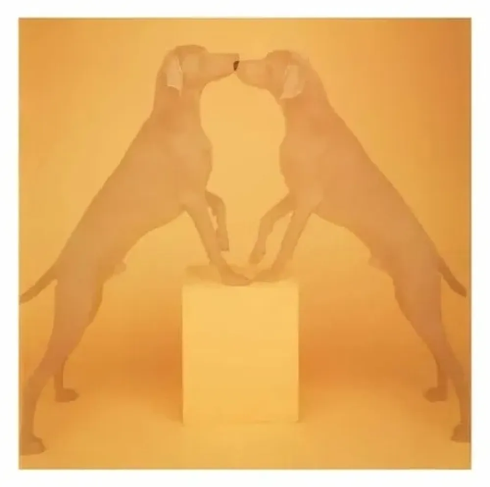Фотографии Wegman - Touching  1991/2018