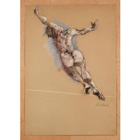 Нет Никаких Технических Weisbuch - Le saut de l’ange