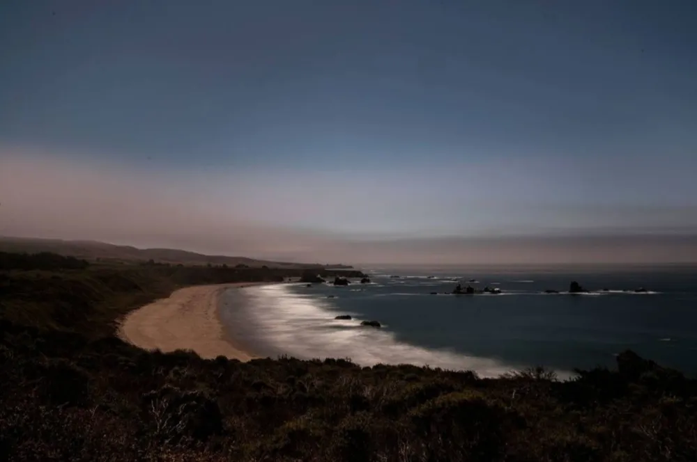 Фотографии Wesely - Arroyo Hondo Preserve