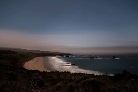 Фотографии Wesely - Arroyo Hondo Preserve