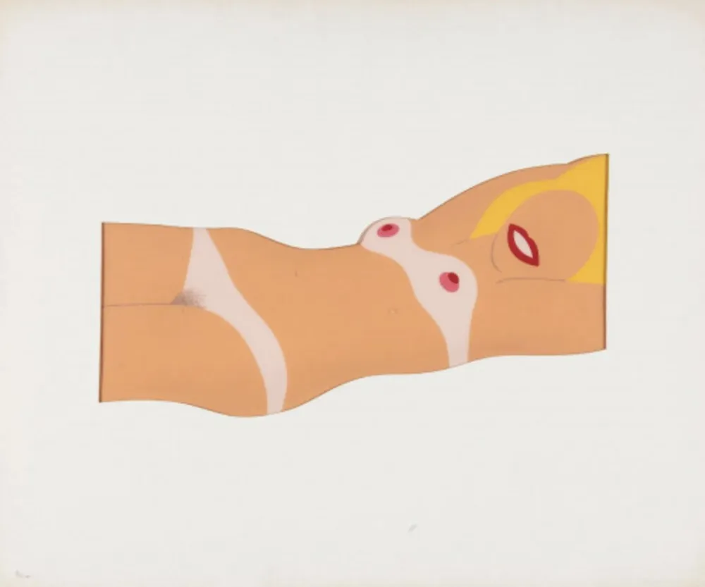 Многоэкземплярное Произведение Wesselmann - Cut out nude
