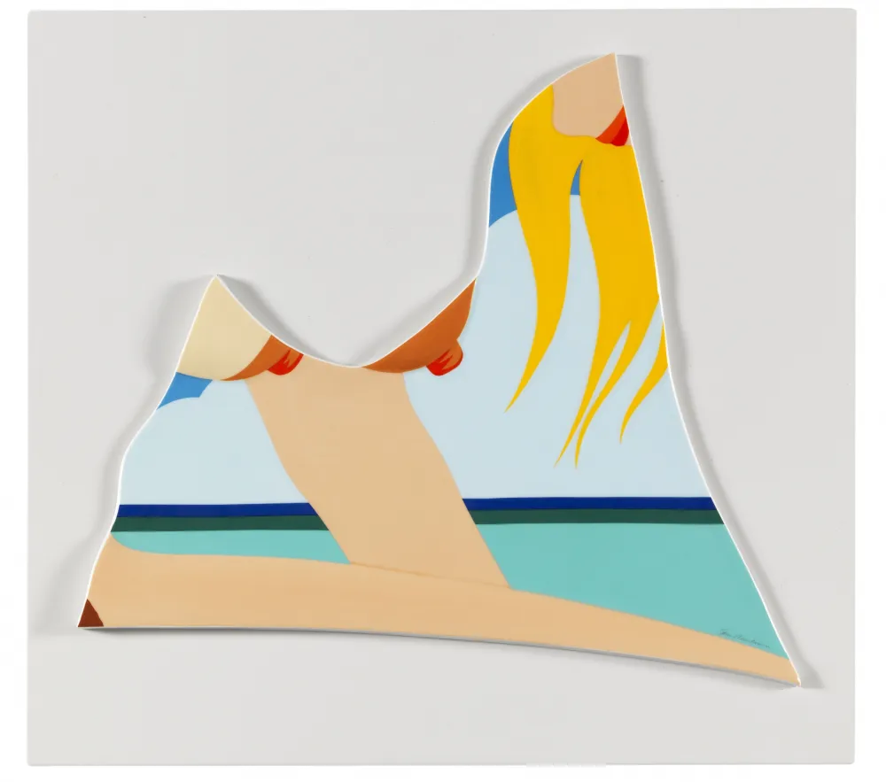 Многоэкземплярное Произведение Wesselmann - Seascape