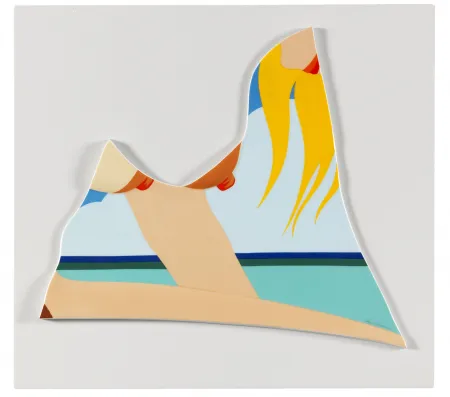 Многоэкземплярное Произведение Wesselmann - Seascape