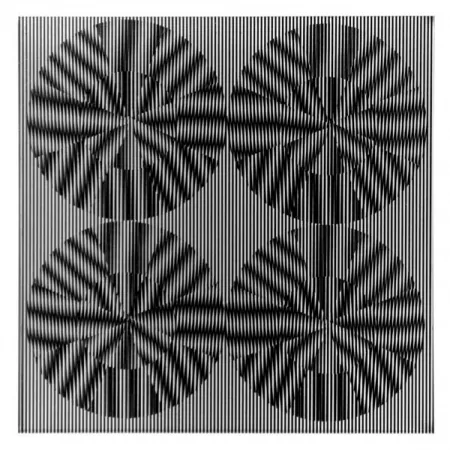 Многоэкземплярное Произведение Wilding - SBT 2835