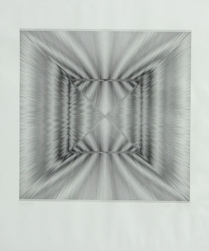 Литография Wilding - SENZA TITOLO