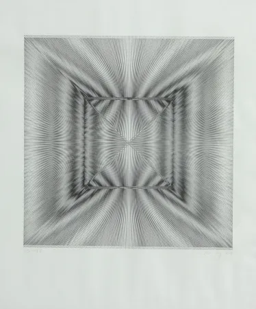 Литография Wilding - SENZA TITOLO