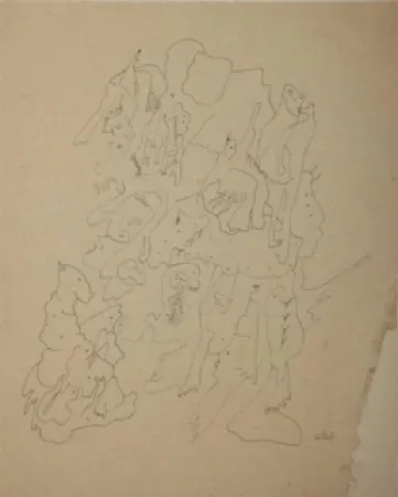 Нет Никаких Технических Wols - Les rochers du zoo