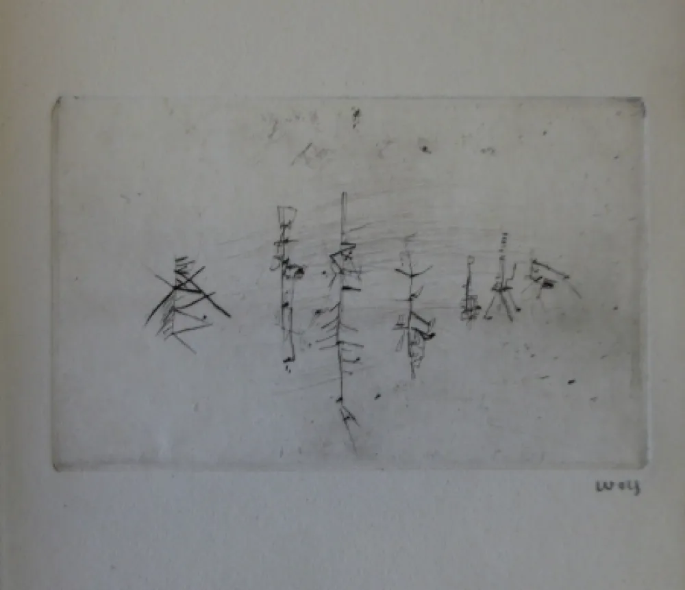 Иллюстрированная Книга Wols - L'invité des morts