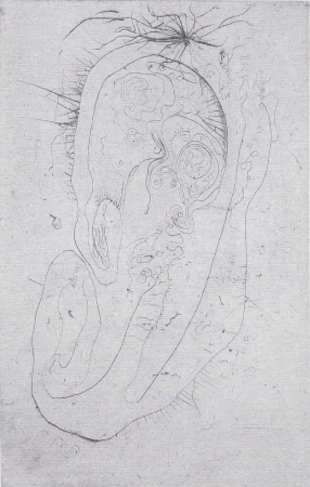 Иллюстрированная Книга Wols - Naturelles