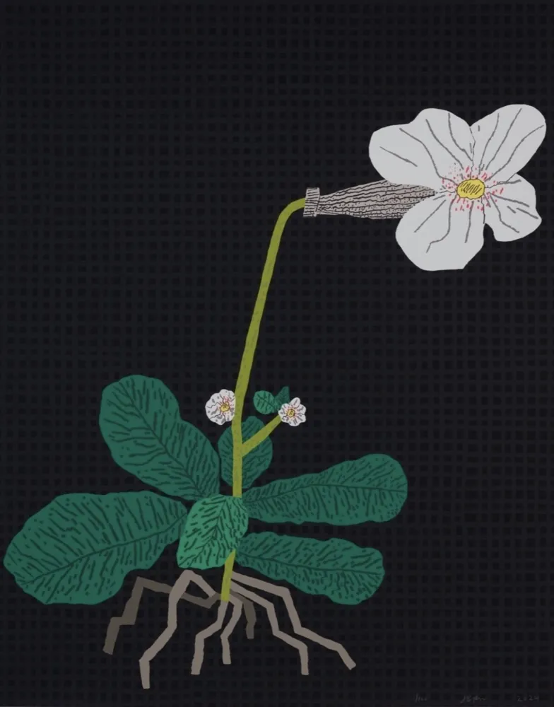 Сериграфия Wood - White Flower with Grid