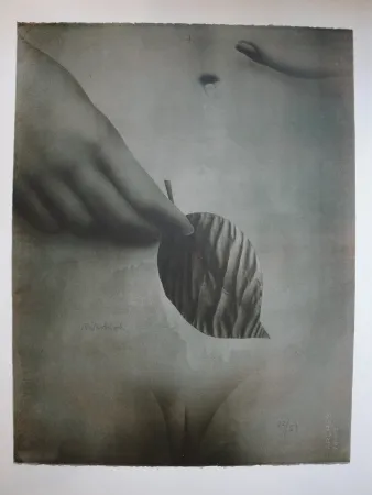 Литография Wunderlich - Das Blatt