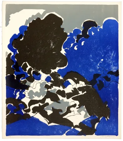 Литография Wyckaert - Fureur et mystère