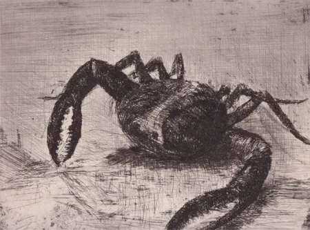 Иллюстрированная Книга Zamorano De Biedma - Bestiaire