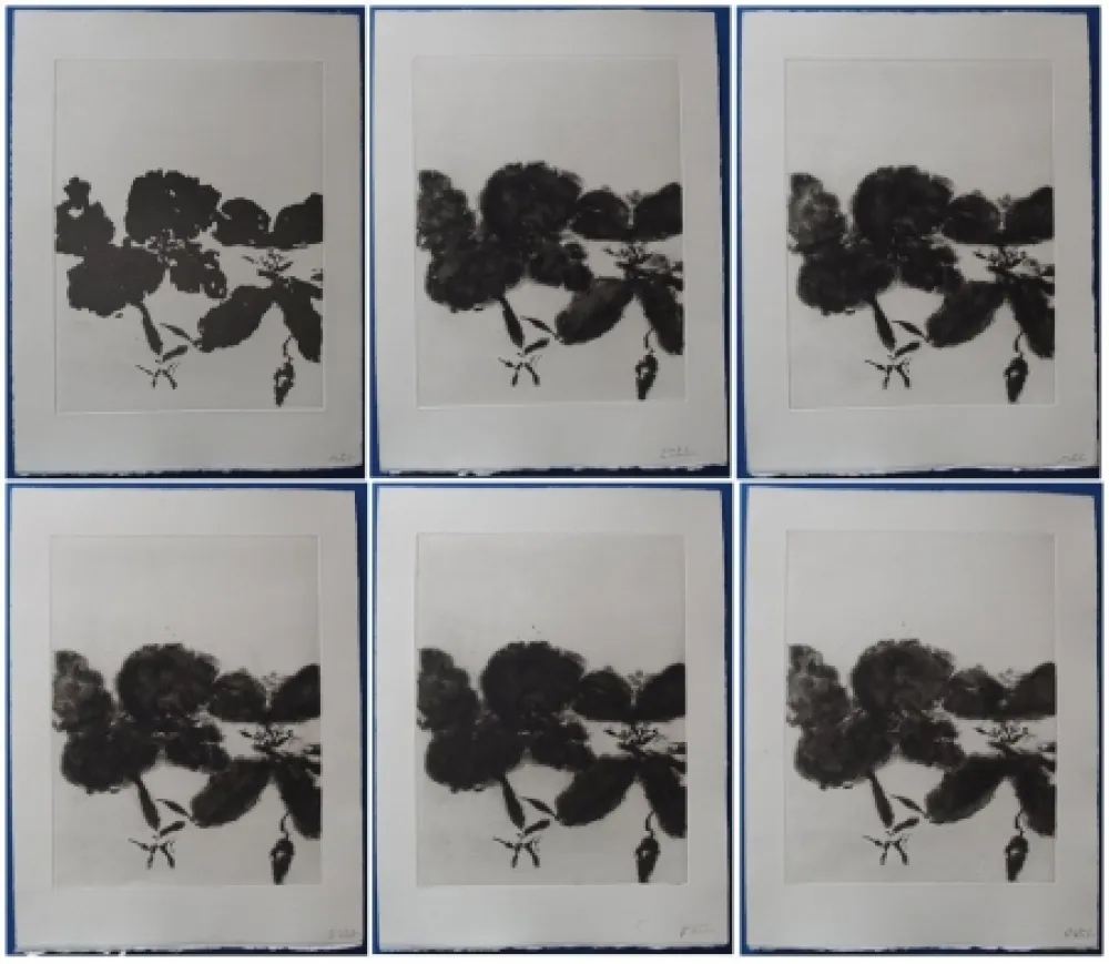 Офорт И Аквитанта Zao - 6 états de la gravure 