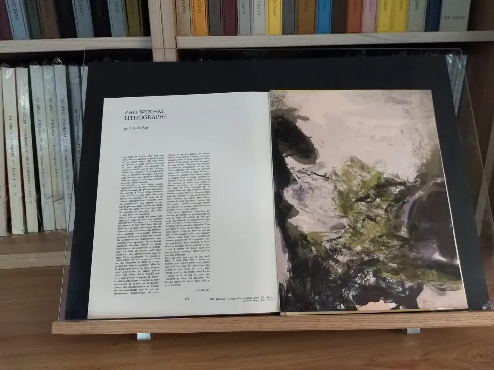 Иллюстрированная Книга Zao - No 37